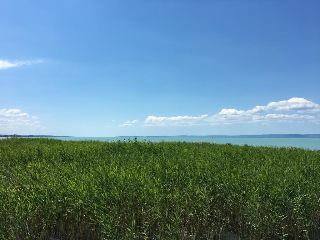 Residence At Lake Balaton Siófok Zewnętrze zdjęcie